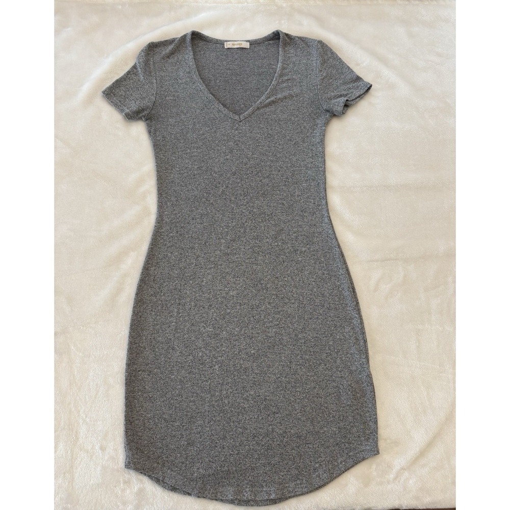 Golden by Tna Gray V-Neck Short‎ Sleeve Bodycon T-Shirt Dress Aritzia